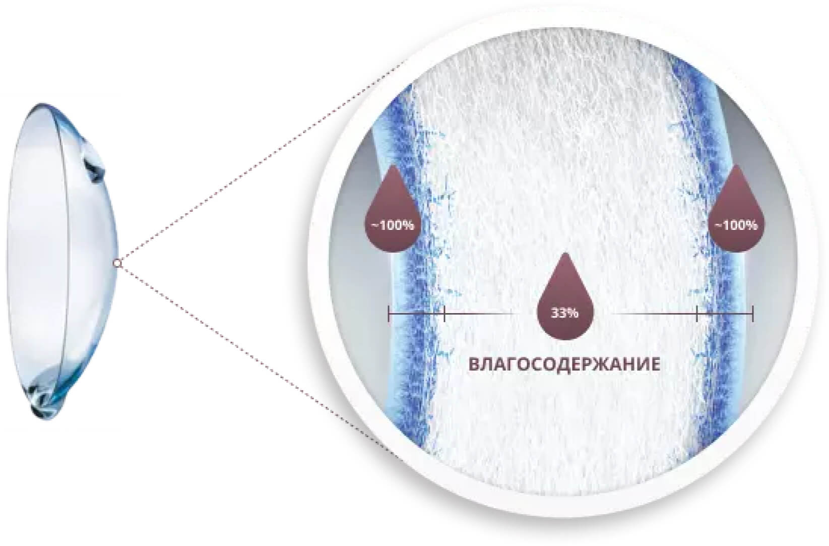 Линзы 8. Контактные линзы Dailies total1® Multifocal. Что такое радиус кривизны в контактных линзах. Влагосодержание контактной линзы. Линзы радиус кривизны 9.0.